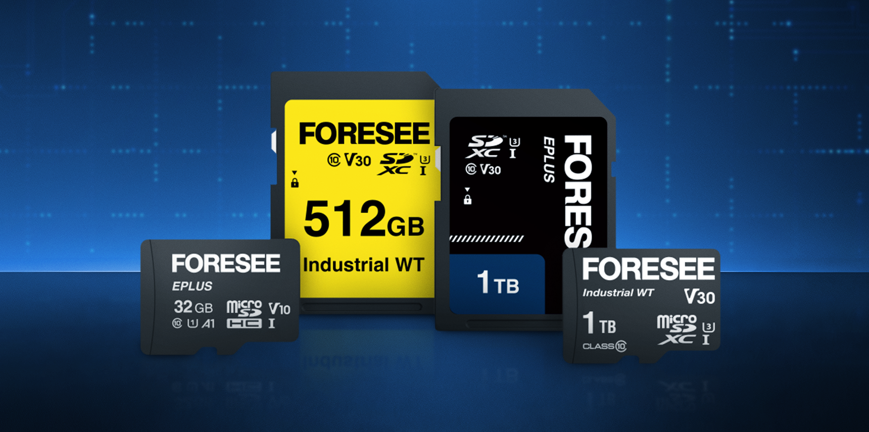 Wearables and the Challenge of Continuous, Long-Term Patient Data Storage